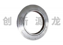 Intertial ring